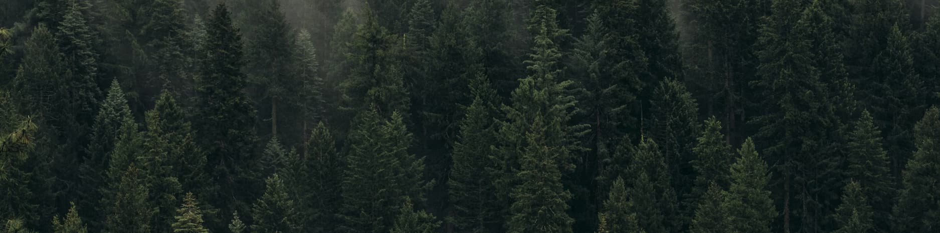 His & Hers: Netflix’s Binge-Worthy New Thriller