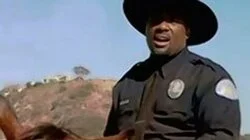 Night of the Dolphin