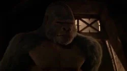 Attack on Gorilla City