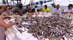 Shrimp Boats and Hat Ladies
