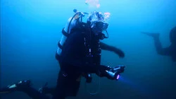 The Mystery of Smith's Cove