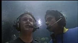 The House Meets the Mouse (2)