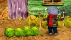 The Enormous Cabbage