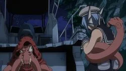 Everyone's Internships