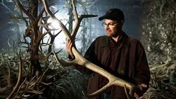 Nature's Wildest Weapons: Horns, Tusks and Antlers