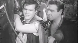 The Widow of Woodcote