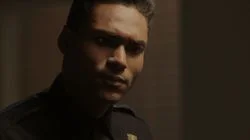 Rising from the Ashes