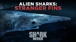 Alien Sharks: Stranger Fins