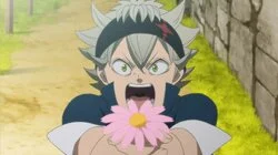 Asta and Yuno