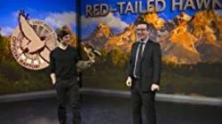 Municipal Violations