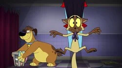 Catula