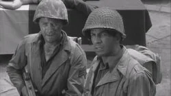 The Wounded Don't Cry