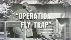 Operation Fly Trap