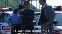 Something Borrowed, Something Bruised