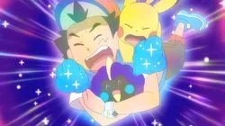 Now You See Them, Now You Don't!