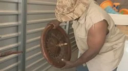 A Metamorphic Layer of True Romanticism