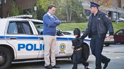 Simpsons Trivia with Andrew Scheer