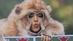 Best Frenemies Forever