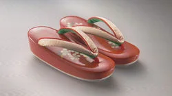 Footwear Culture: Dressing the Feet for Form and Function