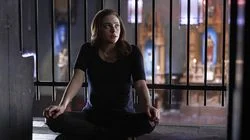 There in the Disappearing Light