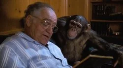 Monkey on My Back Lot