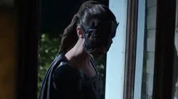 Shelter from the Storm