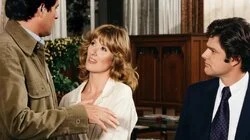 A Nice Girl Like You