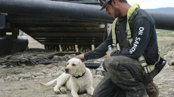 Planes, Cranes, and Virgin Claims