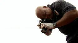 Hot Lot / Blind Faith