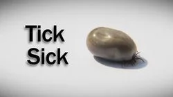Tick Sick