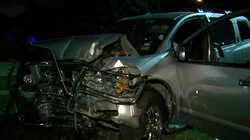 Trust No One / Risky Business