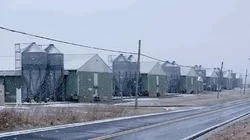 Trafficked In America