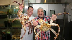 On the Hook and In the Bun