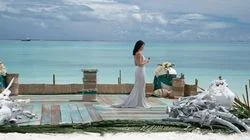 The Three-Hour Live Finale