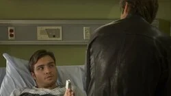 The Land of Rape and Honey