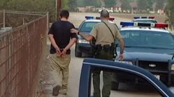 Guns Special Edition