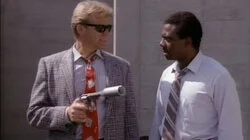 They Shoot Hammers, Don't They?