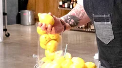 When Life Gives You Lemon