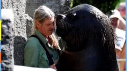 7 Days - Best of 2018