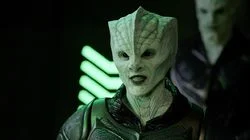 Nothing Left on Earth Excepting Fishes