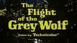 The Flight of the Grey Wolf (1)
