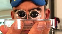 How Your Reflexes Can Save You
