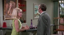 My Master, the Rich Tycoon