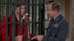 Who Needs a Green-Eyed Jeannie?