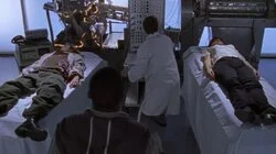 Children of the Night