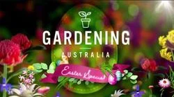 Episode 12 - Family Easter Special