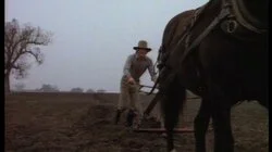 Days of Sunshine, Days of Shadow (1)