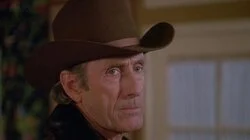 From the Horse's Mouth