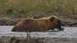 Great Smoky Mountains & Gates of the Artic