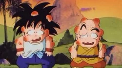 The Turtle Hermit Way